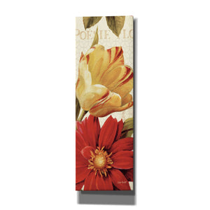 'Poesie Florale Panel II' by Lisa Audit, Canvas Wall Art