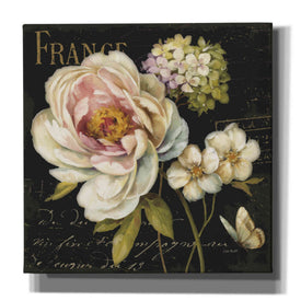 'Marche De Fleurs On Black' by Lisa Audit, Canvas Wall Art