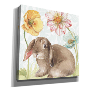 'Spring Softies Bunnies III' by Lisa Audit, Canvas Wall Art