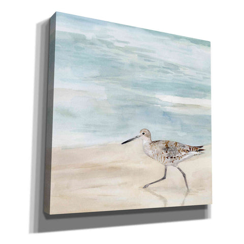 Image of 'Speckled Willet II' by Victoria Borges, Canvas Wall Art