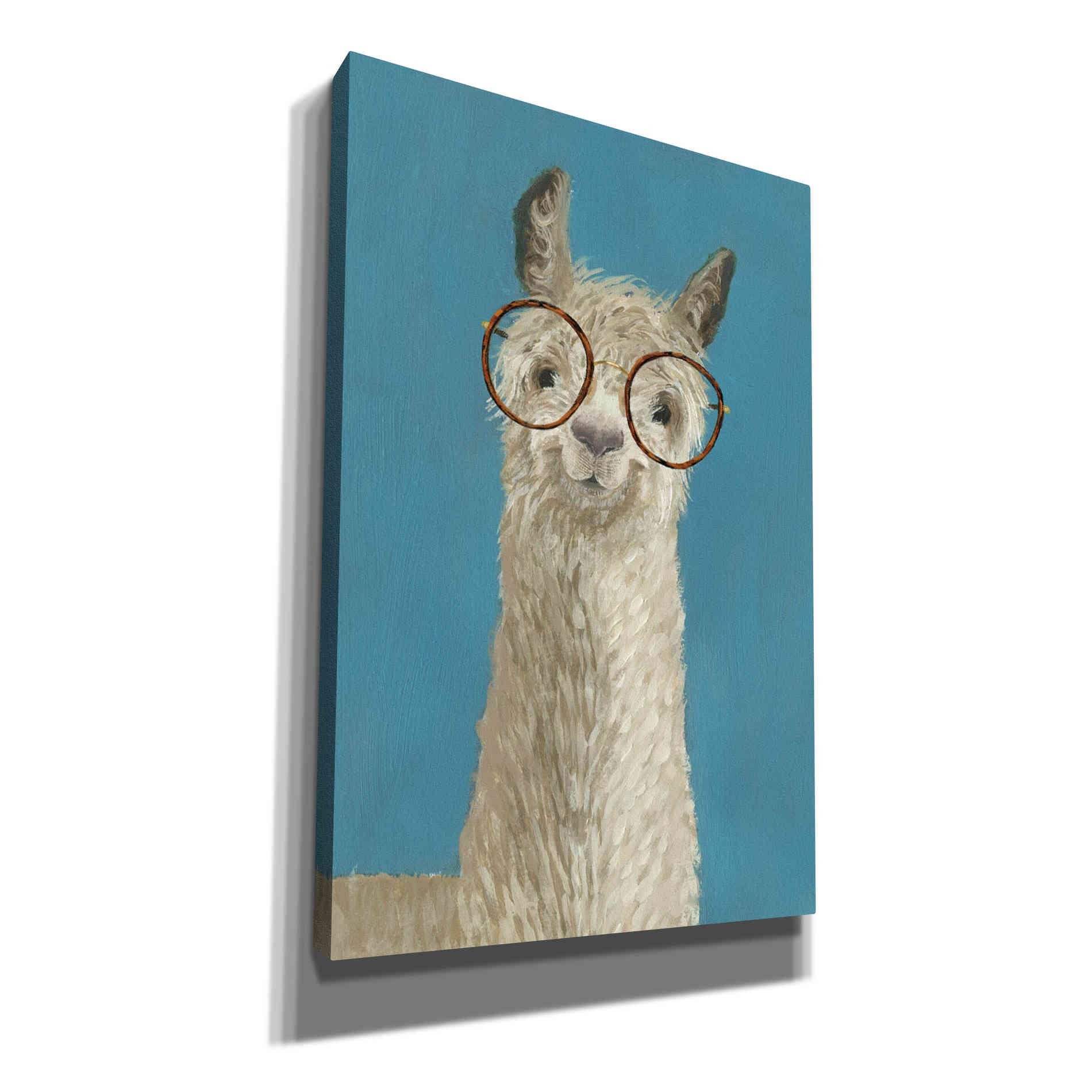 'Llama Specs III' by Victoria Borges, Canvas Wall Art
