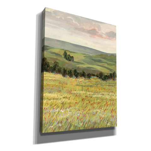 Image of 'Morning Meadow I' by Victoria Borges, Canvas Wall Art