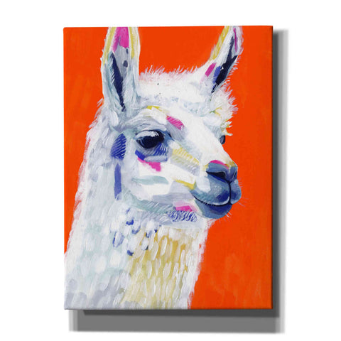 Image of 'Animal Party IV' by Victoria Borges, Canvas Wall Art