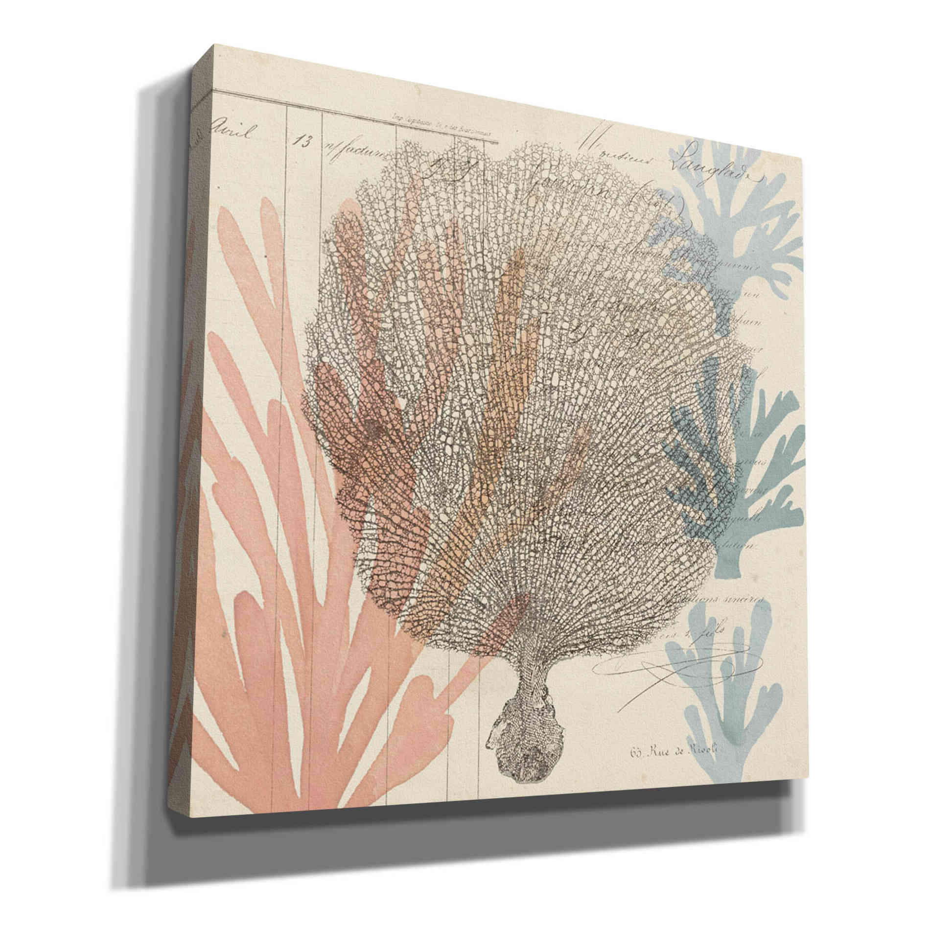 'Sea Ephemera I' by Grace Popp, Canvas Wall Glass