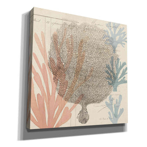 'Sea Ephemera I' by Grace Popp, Canvas Wall Glass