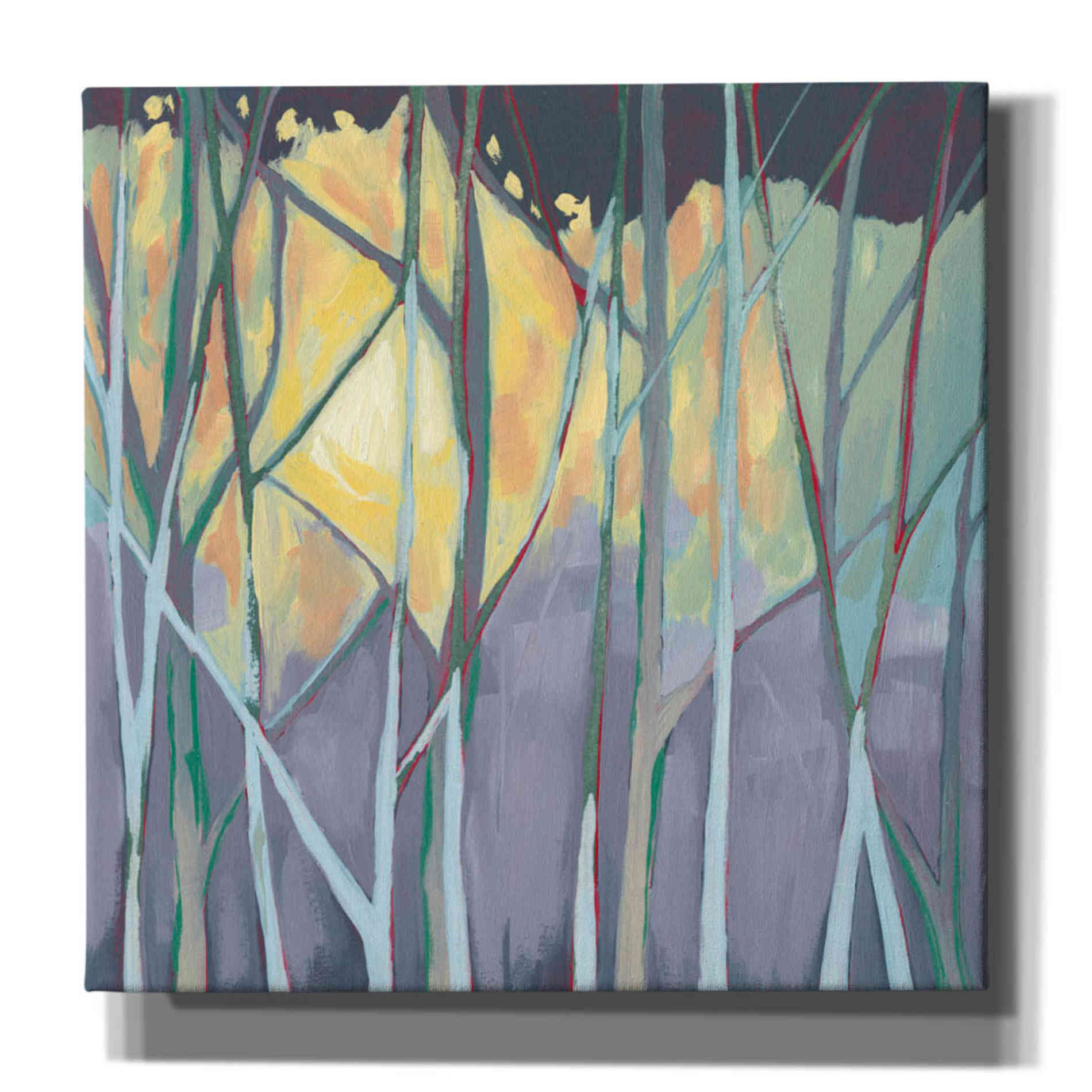 'Tangled Twilight I' by Grace Popp, Canvas Wall Glass