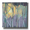 'Tangled Twilight I' by Grace Popp, Canvas Wall Glass