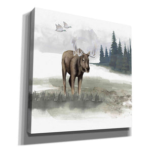 'Lodge Landscape III' by Grace Popp, Canvas Wall Glass