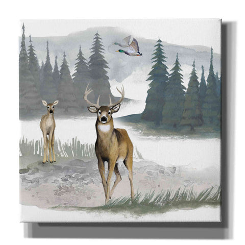 Image of 'Lodge Landscape II' by Grace Popp, Canvas Wall Glass