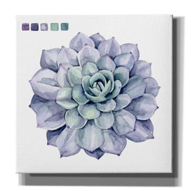 'Succulent Swatches III' by Grace Popp, Canvas Wall Glass