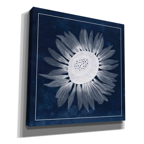 Image of 'Moon Flower II' by Grace Popp, Canvas Wall Glass