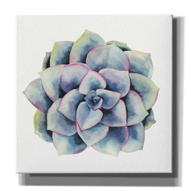 'Tropical Plant V' by Grace Popp, Canvas Wall Glass