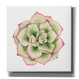 'Tropical Plant IV' by Grace Popp, Canvas Wall Glass