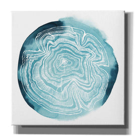 'Tree Ring Overlay IV' by Grace Popp, Canvas Wall Glass