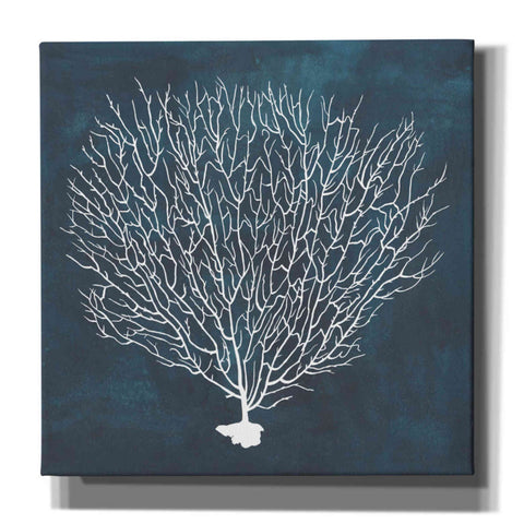 Image of 'Inverse Sea Fan IV' by Grace Popp, Canvas Wall Glass