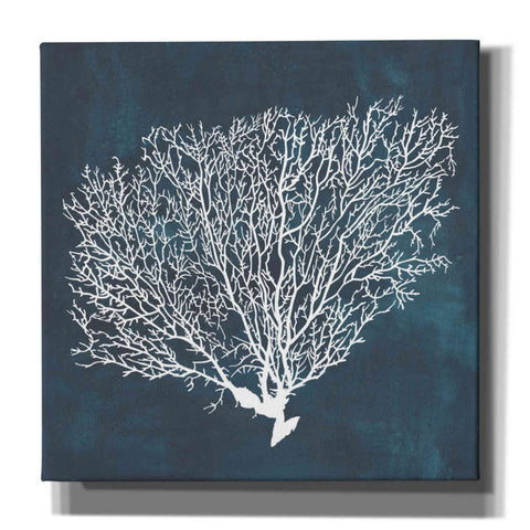 Image of 'Inverse Sea Fan II' by Grace Popp, Canvas Wall Glass