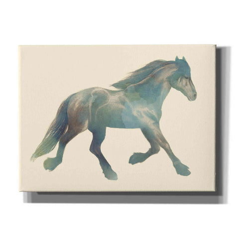 Image of 'Gypsian Paint II' by Grace Popp, Canvas Wall Glass