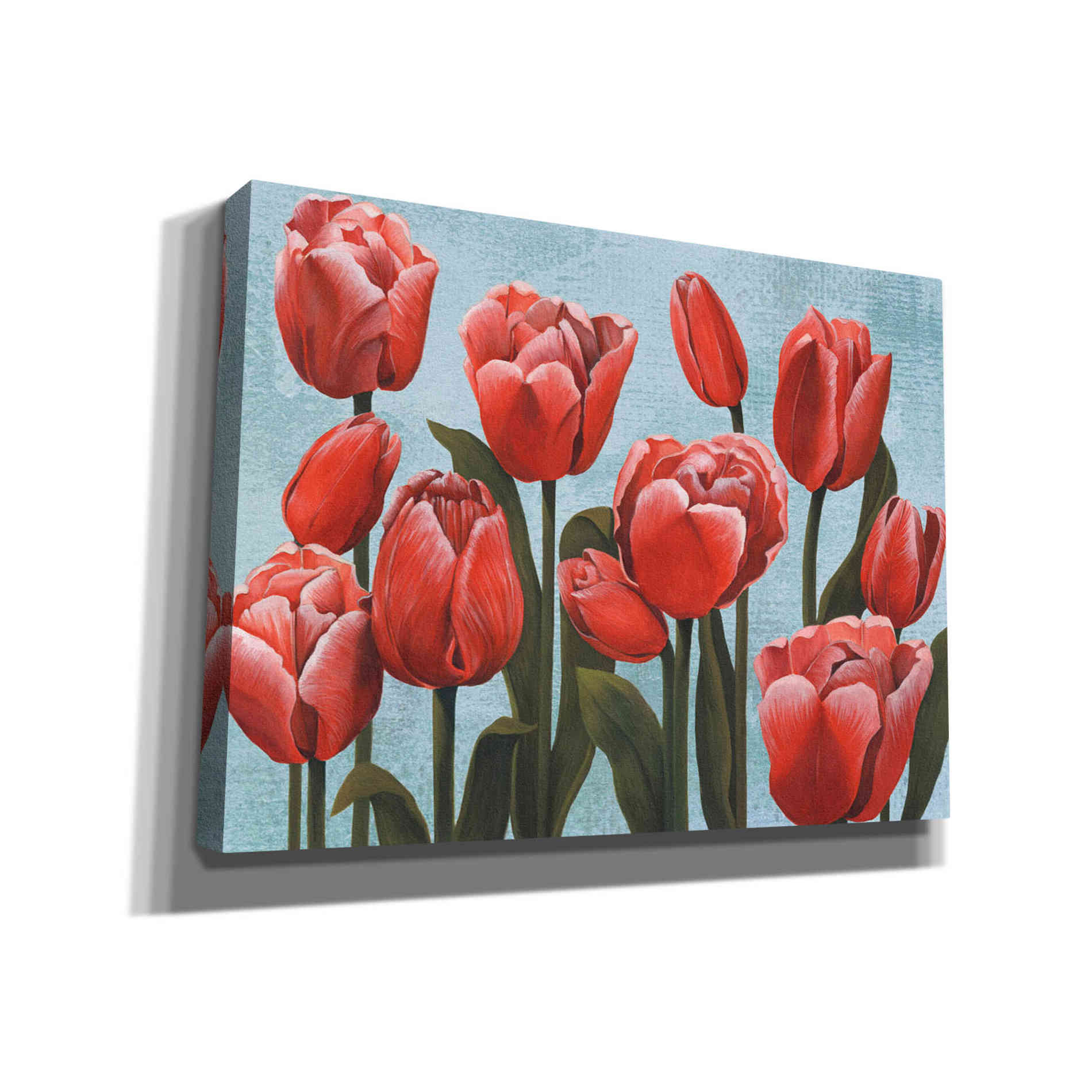 'Ruby Tulips II' by Grace Popp, Canvas Wall Glass