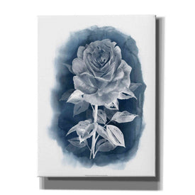 'Ghost Rose III' by Grace Popp, Canvas Wall Glass