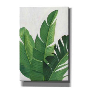 'Pura Vida II' by Grace Popp, Canvas Wall Glass