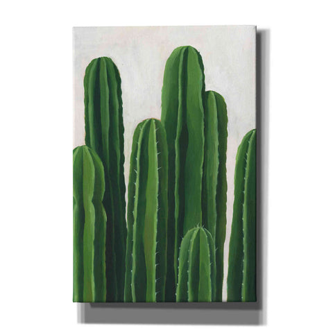 Image of 'Pura Vida III' by Grace Popp, Canvas Wall Glass