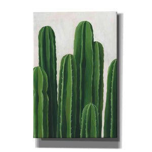'Pura Vida III' by Grace Popp, Canvas Wall Glass