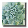 'Verdant Succulent II' by Grace Popp, Canvas Wall Glass