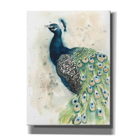 'Watercolor Peacock Portrait II' by Grace Popp, Canvas Wall Glass