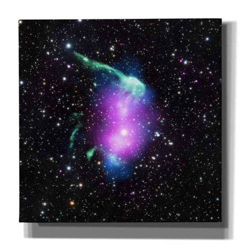 Image of 'Toothbrush Cluster,' Canvas Wall Art