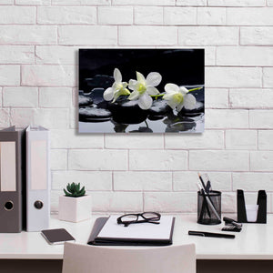 'The Light of Three' Canvas Wall Art,18 x 12