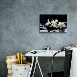 'The Light of Three' Canvas Wall Art,18 x 12