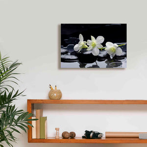 'The Light of Three' Canvas Wall Art,18 x 12