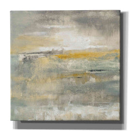 'February Sky' by Silvia Vassileva, Canvas Wall Art
