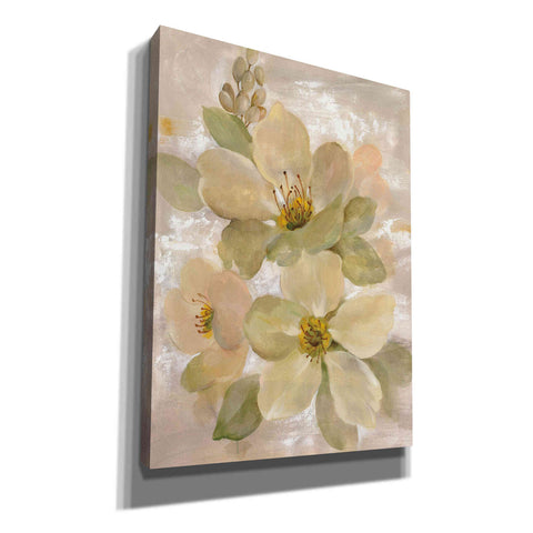 Image of 'White on White Floral I' by Silvia Vassileva, Canvas Wall Art