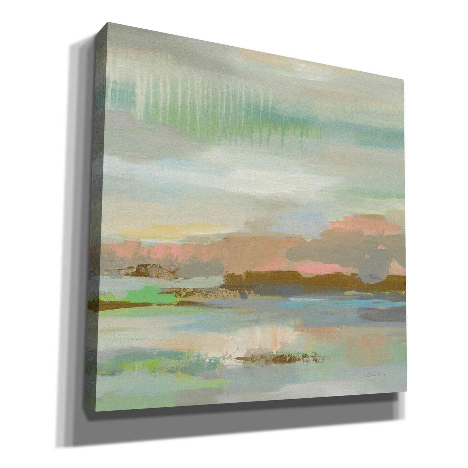 'Spring Desert I' by Silvia Vassileva, Canvas Wall Art