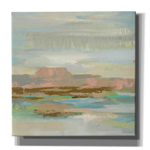 'Spring Desert II' by Silvia Vassileva, Canvas Wall Art