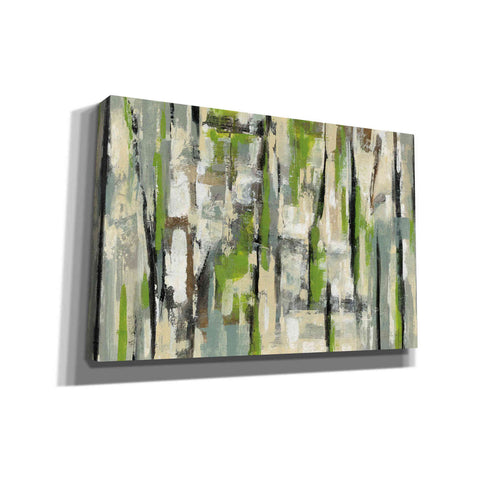 Image of 'Spring Stripes' by Silvia Vassileva, Canvas Wall Art