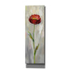'Single Stem Flower II' by Silvia Vassileva, Canvas Wall Art