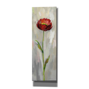 'Single Stem Flower II' by Silvia Vassileva, Canvas Wall Art
