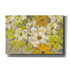 'Scattered Spring Petals' by Silvia Vassileva, Canvas Wall Art