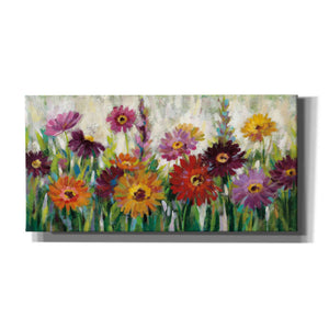 'Jewel Daisy Gerbera' by Silvia Vassileva, Canvas Wall Art