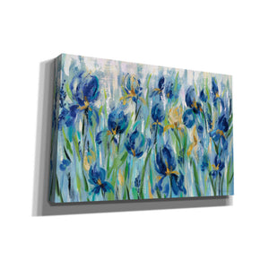 'Iris Flower Bed' by Silvia Vassileva, Canvas Wall Art