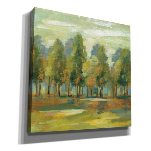 Image of 'Forest I' by Silvia Vassileva, Canvas Wall Art