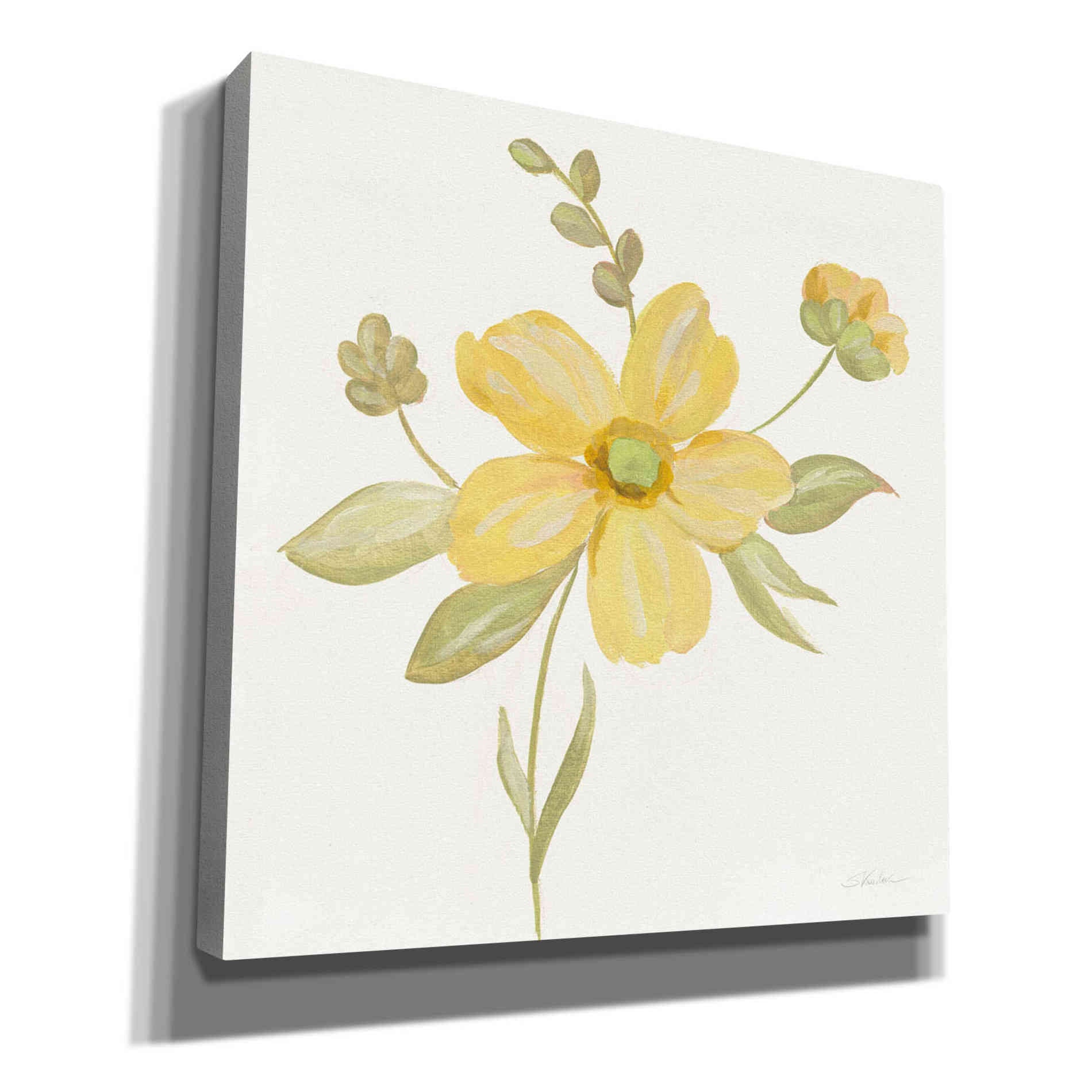 'June Bloom II' by Silvia Vassileva, Canvas Wall Art