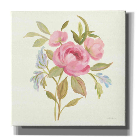 Image of 'Petals and Blossoms IV' by Silvia Vassileva, Canvas Wall Art