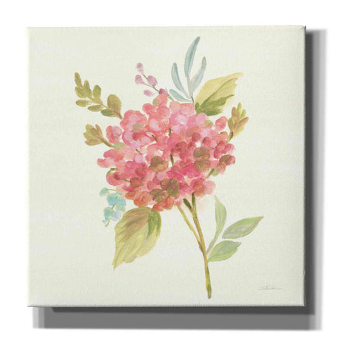Image of 'Petals and Blossoms VII' by Silvia Vassileva, Canvas Wall Art