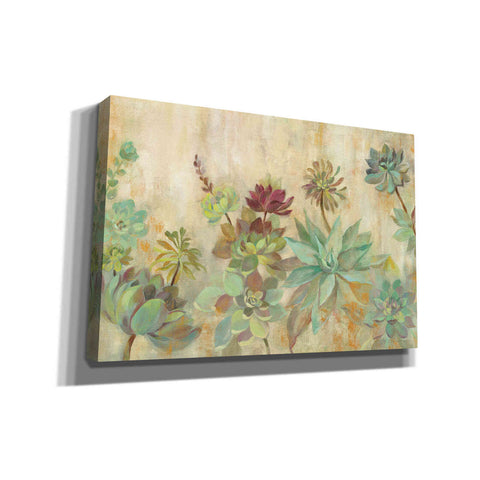 Image of 'Succulent Garden' by Silvia Vassileva, Canvas Wall Art