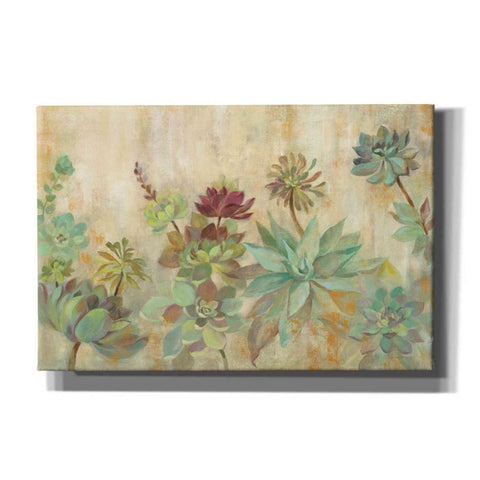Image of 'Succulent Garden' by Silvia Vassileva, Canvas Wall Art