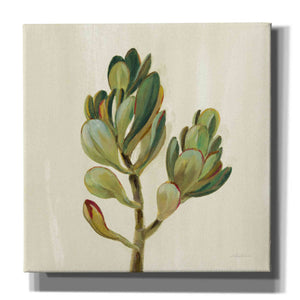 'Front Yard Succulent II' by Silvia Vassileva, Canvas Wall Art