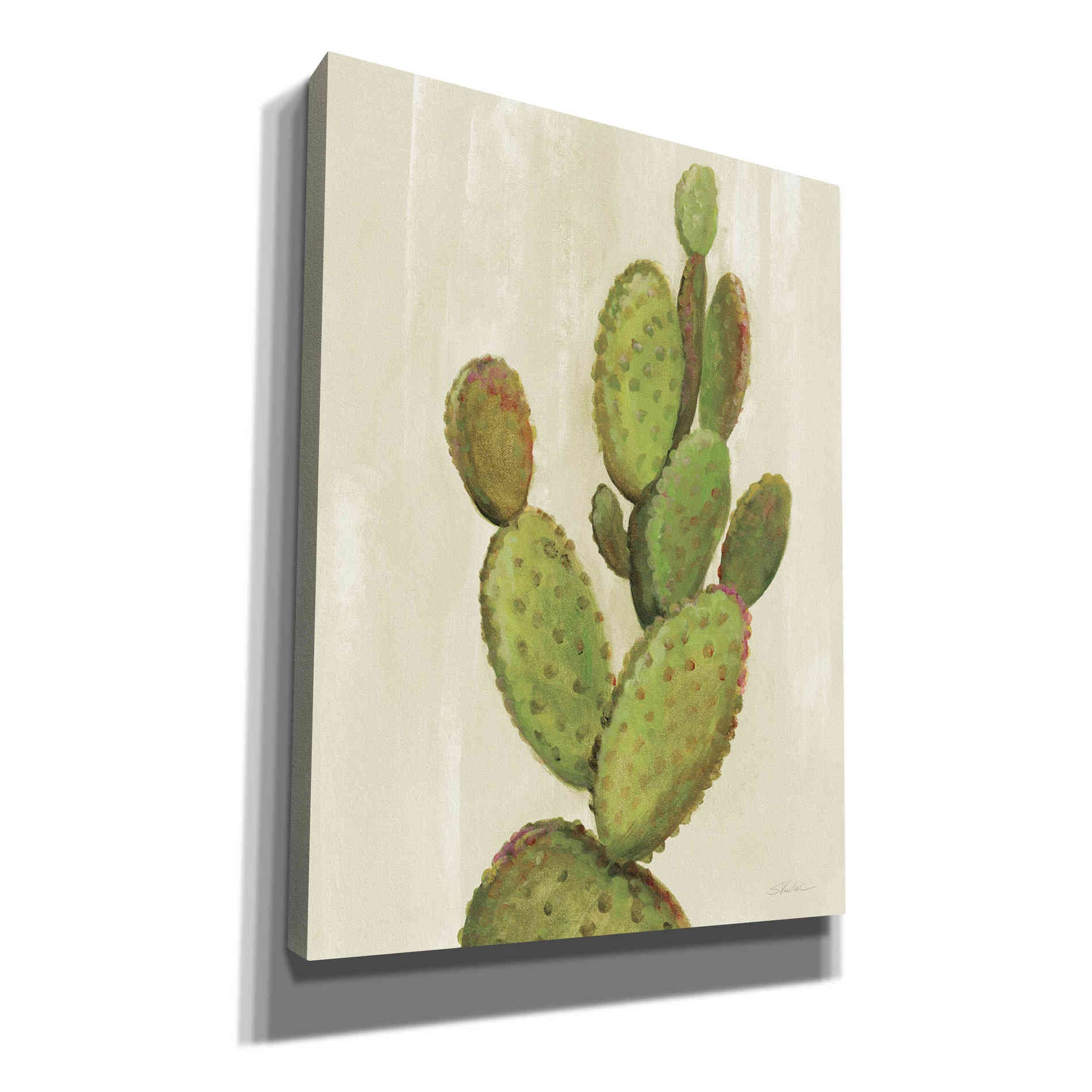 'Front Yard Cactus I' by Silvia Vassileva, Canvas Wall Art